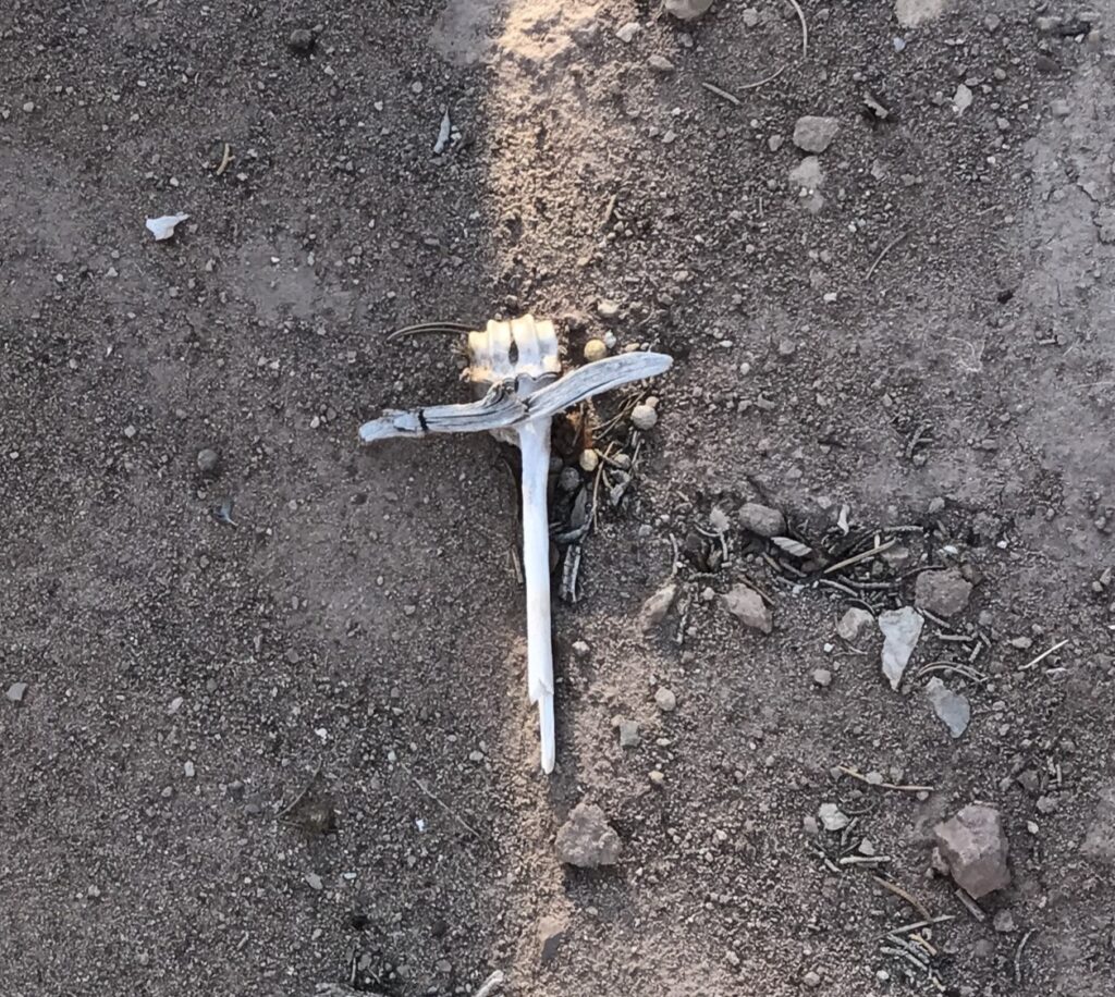 Cross in the dirt